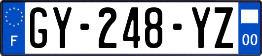GY-248-YZ