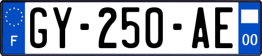 GY-250-AE