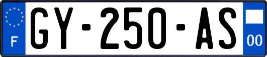 GY-250-AS