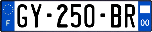 GY-250-BR