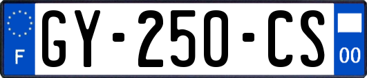 GY-250-CS