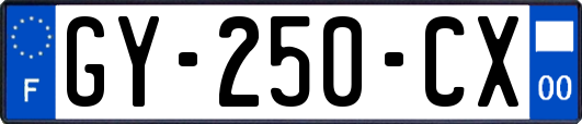 GY-250-CX