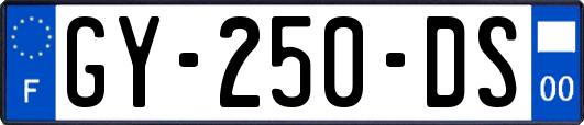GY-250-DS