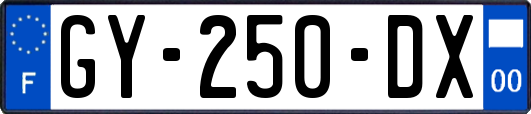 GY-250-DX