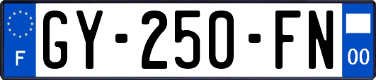 GY-250-FN