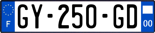 GY-250-GD