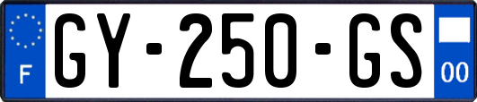 GY-250-GS