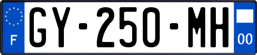 GY-250-MH