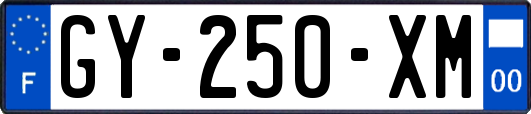 GY-250-XM