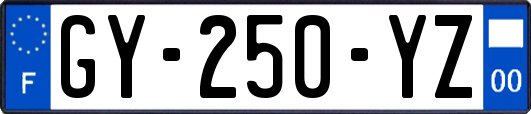 GY-250-YZ