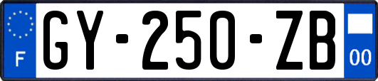 GY-250-ZB