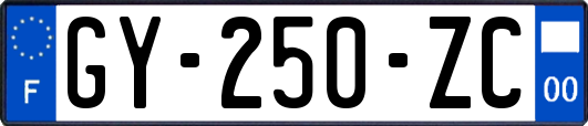 GY-250-ZC