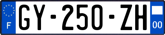 GY-250-ZH