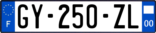 GY-250-ZL
