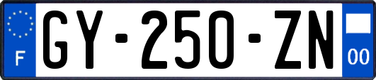 GY-250-ZN