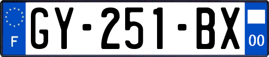 GY-251-BX
