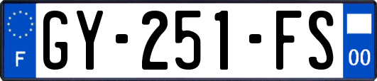 GY-251-FS