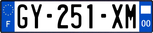 GY-251-XM