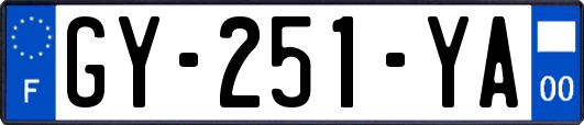 GY-251-YA