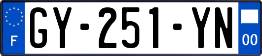 GY-251-YN