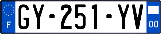 GY-251-YV