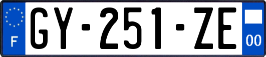 GY-251-ZE