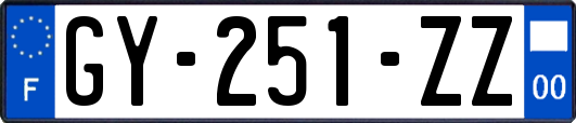 GY-251-ZZ