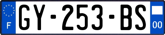 GY-253-BS
