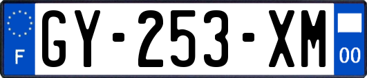 GY-253-XM