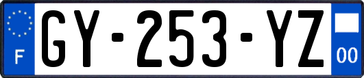 GY-253-YZ