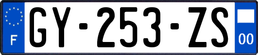 GY-253-ZS