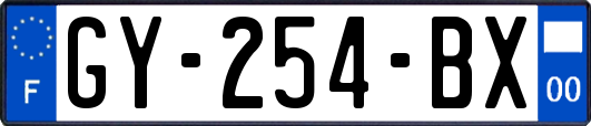 GY-254-BX