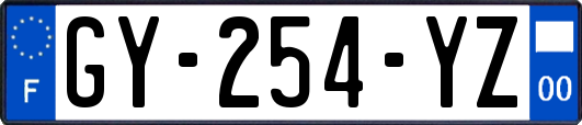 GY-254-YZ