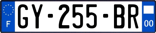 GY-255-BR