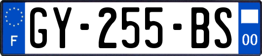 GY-255-BS