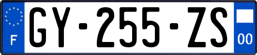 GY-255-ZS