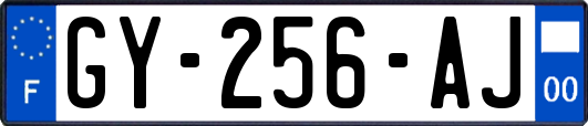 GY-256-AJ