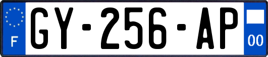 GY-256-AP