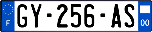 GY-256-AS