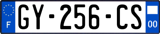 GY-256-CS