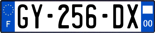 GY-256-DX