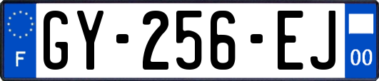 GY-256-EJ
