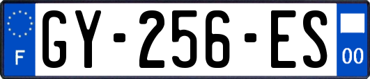 GY-256-ES