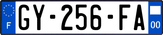 GY-256-FA