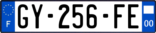 GY-256-FE