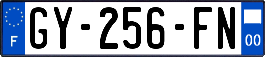 GY-256-FN