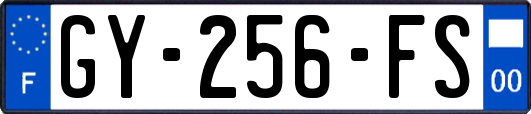 GY-256-FS