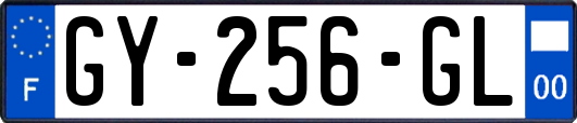 GY-256-GL