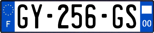 GY-256-GS