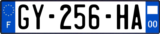 GY-256-HA